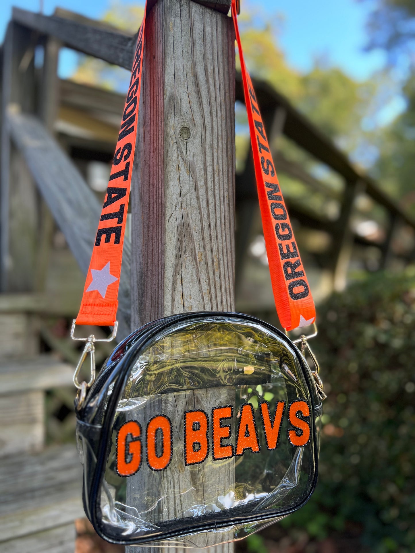 Oregon State "Go Beavs" - Single Layer Rhinestoned Bag