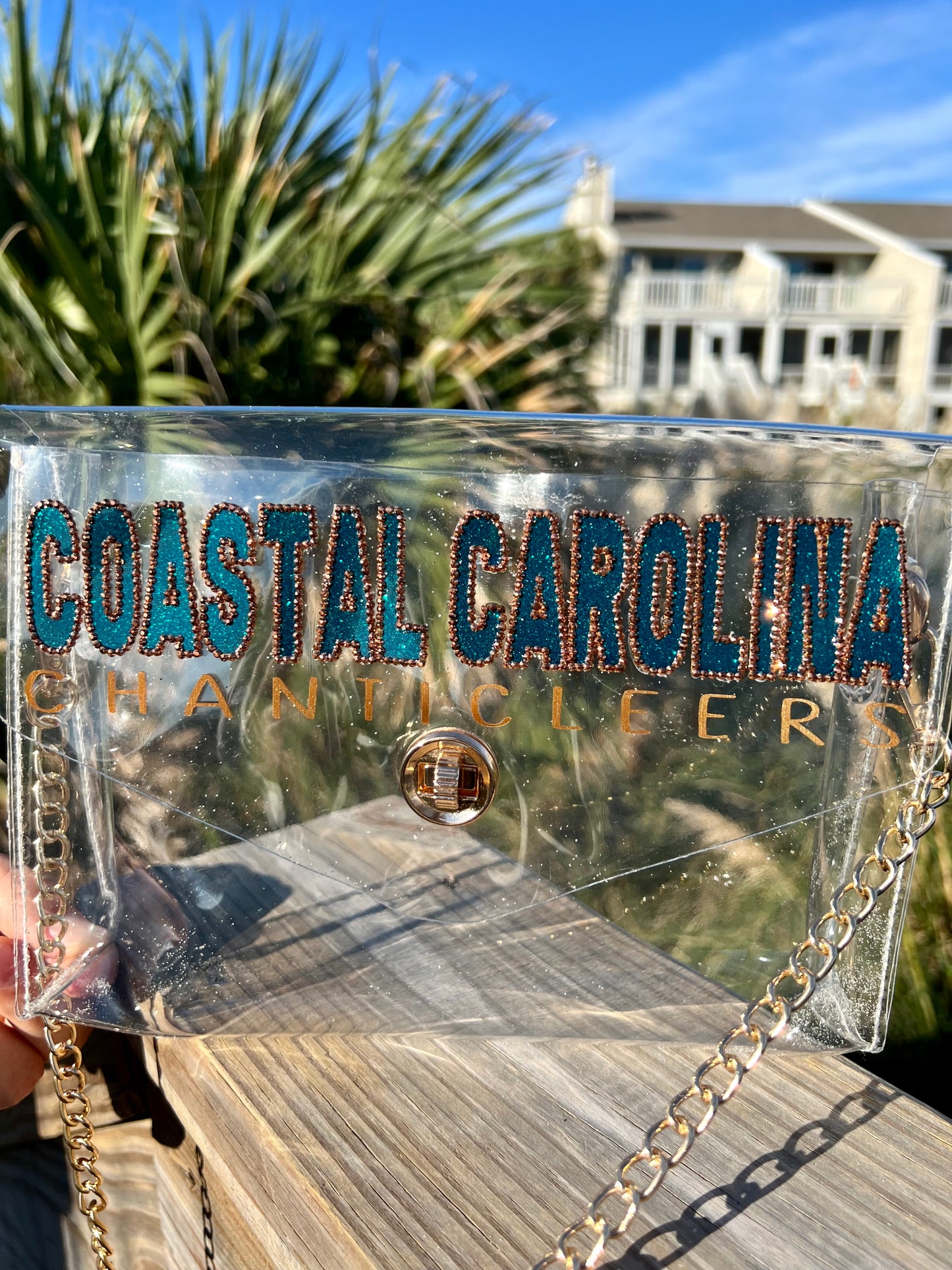 Coastal Carolina Chanticleers - Single Layer Rhinestoned Bag