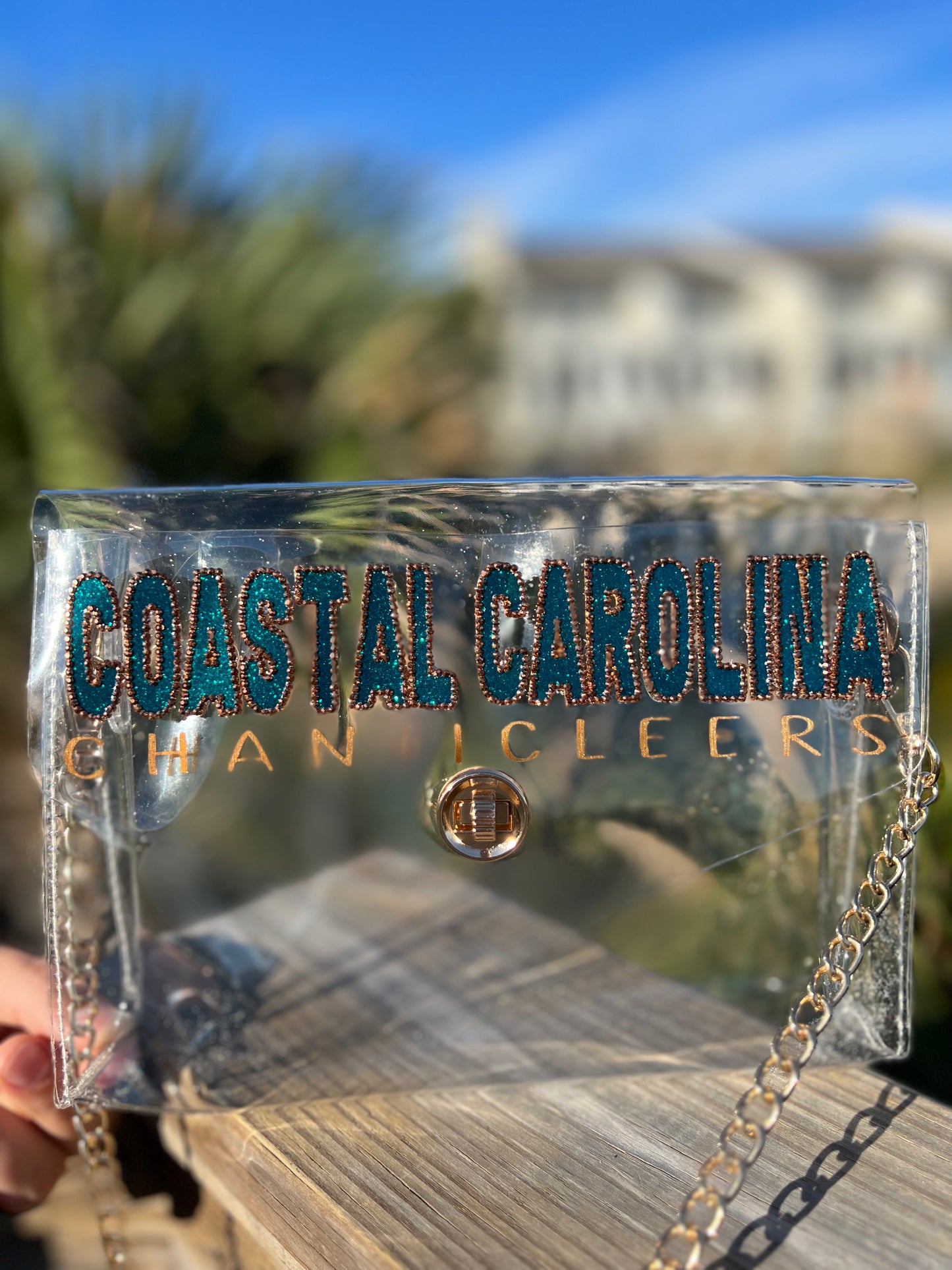 Coastal Carolina Chanticleers - Single Layer Rhinestoned Bag